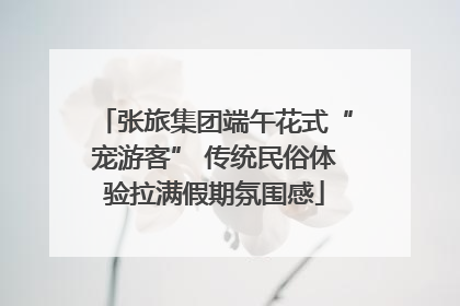 张旅集团端午花式“宠游客” 传统民俗体验拉满假期氛围感