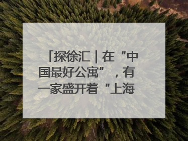 探徐汇｜在“中国最好公寓”，有一家盛开着“上海玫瑰”的书店