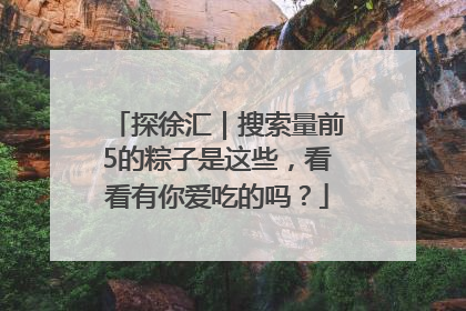 探徐汇｜搜索量前5的粽子是这些，看看有你爱吃的吗？