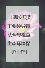 惠安县委主要领导带队督导检查生态环境保护工作