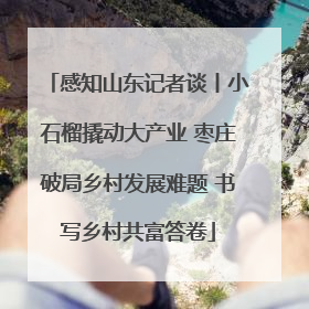 感知山东记者谈丨小石榴撬动大产业 枣庄破局乡村发展难题 书写乡村共富答卷