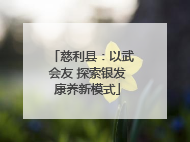 慈利县：以武会友 探索银发康养新模式