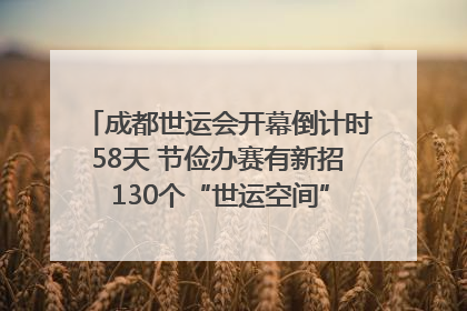 成都世运会开幕倒计时58天 节俭办赛有新招 130个“世运空间”陆续开放｜成都发展