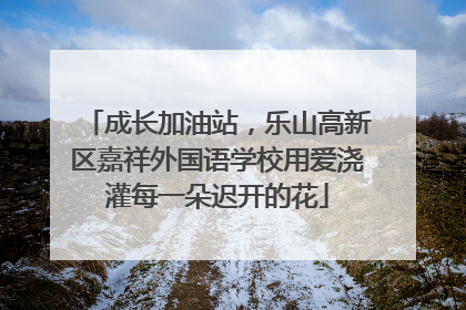 成长加油站，乐山高新区嘉祥外国语学校用爱浇灌每一朵迟开的花