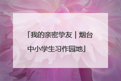 我的亲密挚友｜烟台中小学生习作园地