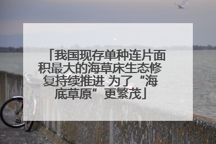 我国现存单种连片面积最大的海草床生态修复持续推进 为了“海底草原”更繁茂