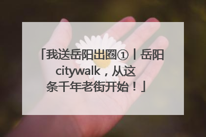 我送岳阳出圈①丨岳阳citywalk，从这条千年老街开始！