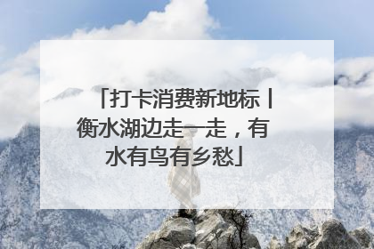 打卡消费新地标丨衡水湖边走一走，有水有鸟有乡愁