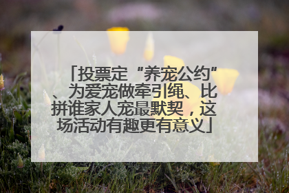 投票定“养宠公约”、为爱宠做牵引绳、比拼谁家人宠最默契，这场活动有趣更有意义