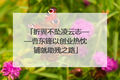 折翼不坠凌云志——曹东锋以创业热忱铺就助残之路
