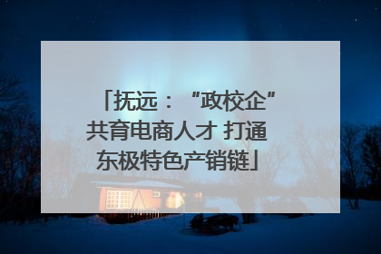 抚远：“政校企”共育电商人才 打通东极特色产销链