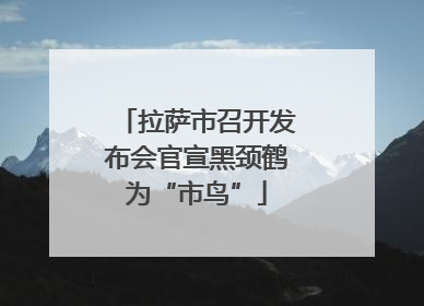 拉萨市召开发布会官宣黑颈鹤为“市鸟”