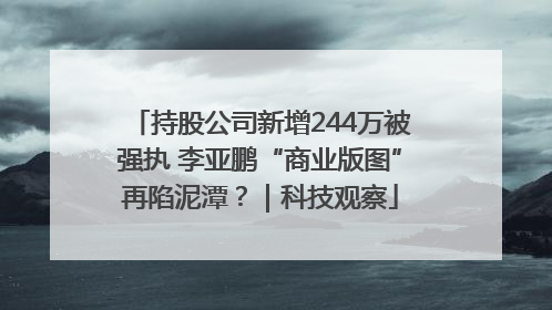 持股公司新增244万被强执 李亚鹏“商业版图”再陷泥潭？｜科技观察