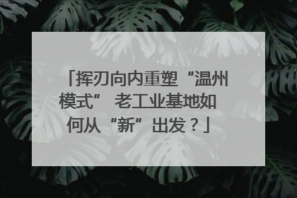 挥刃向内重塑“温州模式” 老工业基地如何从“新”出发？