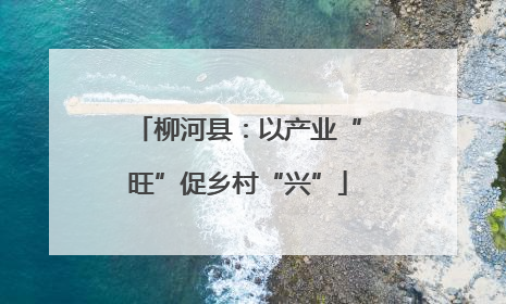 柳河县：以产业“旺”促乡村“兴”