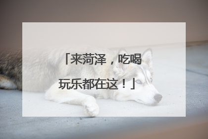 来菏泽，吃喝玩乐都在这！