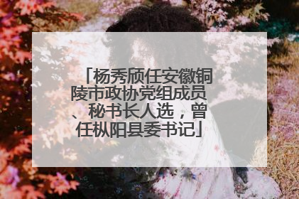 杨秀颀任安徽铜陵市政协党组成员、秘书长人选，曾任枞阳县委书记