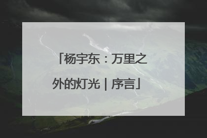 杨宇东：万里之外的灯光｜序言