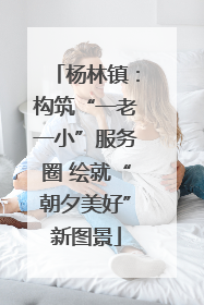 杨林镇：构筑“一老一小”服务圈 绘就“朝夕美好”新图景
