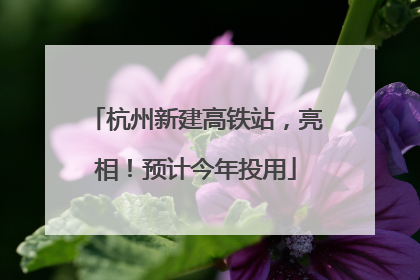 杭州新建高铁站，亮相！预计今年投用