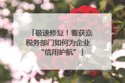 极速修复！看获嘉税务部门如何为企业“信用护航”