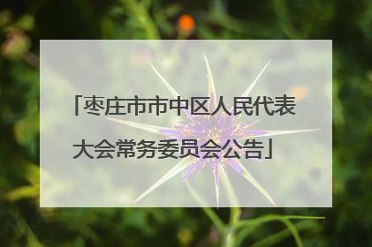 枣庄市市中区人民代表大会常务委员会公告