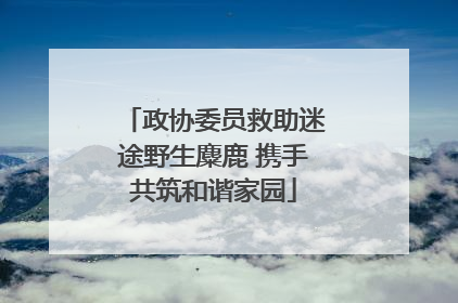 政协委员救助迷途野生麋鹿 携手共筑和谐家园