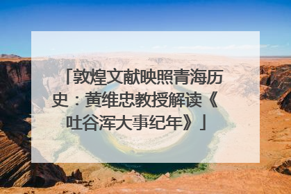 敦煌文献映照青海历史：黄维忠教授解读《吐谷浑大事纪年》