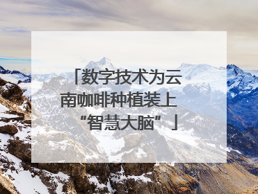 数字技术为云南咖啡种植装上“智慧大脑”