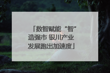 数智赋能“智”造强市 银川产业发展跑出加速度