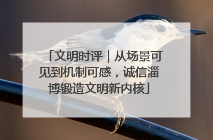 文明时评｜从场景可见到机制可感，诚信淄博锻造文明新内核