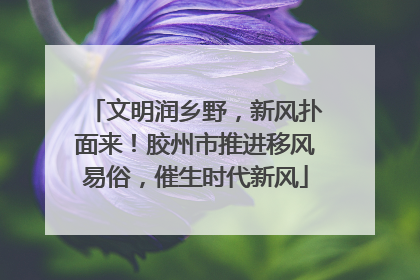 文明润乡野，新风扑面来！胶州市推进移风易俗，催生时代新风