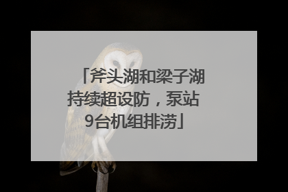 斧头湖和梁子湖持续超设防，泵站9台机组排涝