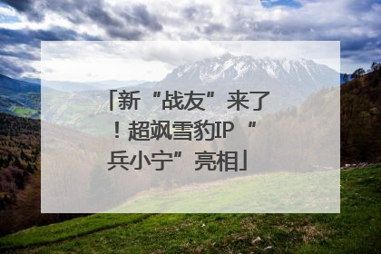 新“战友”来了！超飒雪豹IP“兵小宁”亮相