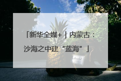 新华全媒+｜内蒙古：沙海之中建“蓝海”