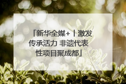 新华全媒+丨激发传承活力 非遗代表性项目聚成都