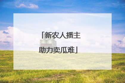 新农人播主 助力卖瓜难