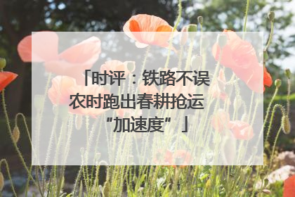 时评：铁路不误农时跑出春耕抢运“加速度”