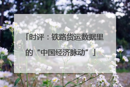 时评：铁路货运数据里的“中国经济脉动”