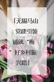 无锡马山：党建引领 铺就“梅”好乡村振兴路