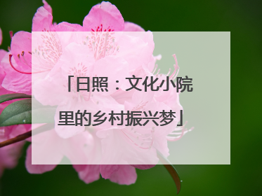 日照：文化小院里的乡村振兴梦