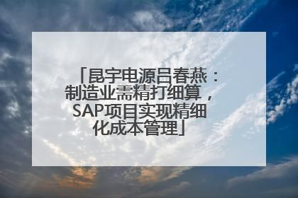 昆宇电源吕春燕：制造业需精打细算，SAP项目实现精细化成本管理