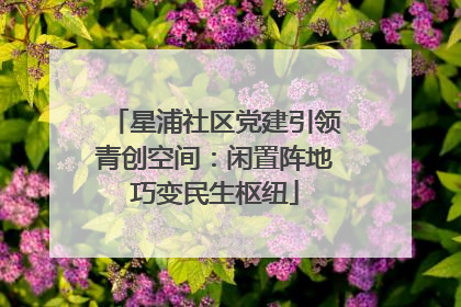星浦社区党建引领青创空间：闲置阵地巧变民生枢纽