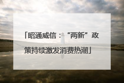 昭通威信：“两新”政策持续激发消费热潮