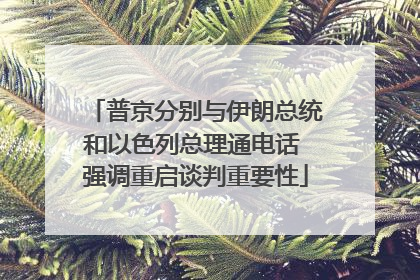 普京分别与伊朗总统和以色列总理通电话 强调重启谈判重要性