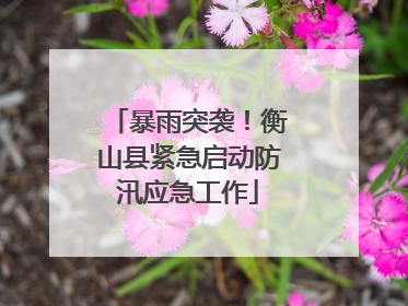暴雨突袭！衡山县紧急启动防汛应急工作
