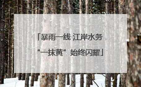 暴雨一线 江岸水务“一抹黄”始终闪耀