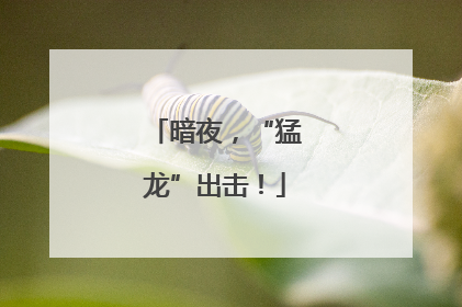 暗夜，“猛龙”出击！