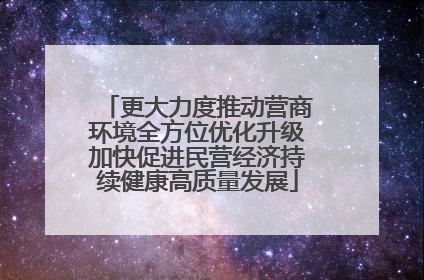 更大力度推动营商环境全方位优化升级加快促进民营经济持续健康高质量发展