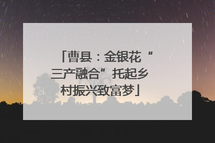 曹县：金银花“三产融合”托起乡村振兴致富梦